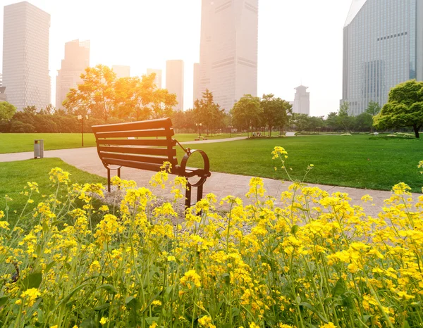 Shanghai lujiazui finansiella distrikt, parkbänkar — Stockfoto