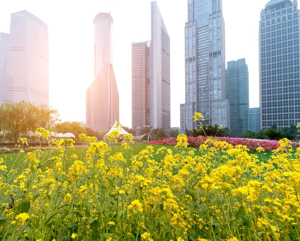 Den moderna byggnaden i shanghai — Stockfoto