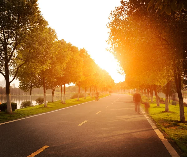 Bij schemering snelweg in het dorp — Stockfoto