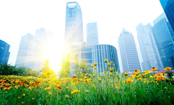 Den moderna byggnaden i shanghai — Stockfoto