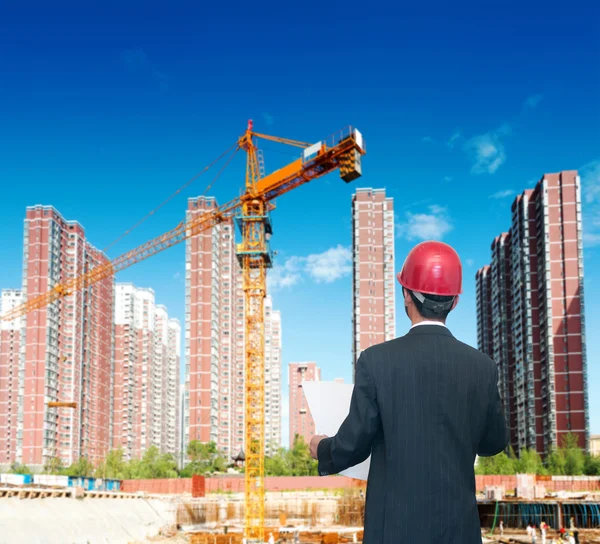 Architect looking comparing housing project — Stock Photo, Image
