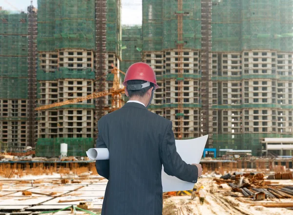 Architect looking comparing housing project — Stock Photo, Image