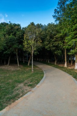 Çin 'deki Şehir Parkı yolu.