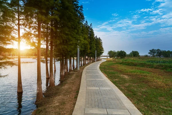 Strada Del Parco Della Città Cina — Foto Stock