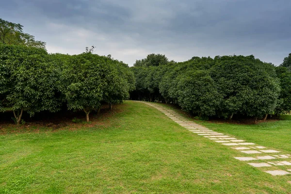 Prachtig Panorama Van Groen Stadspark — Stockfoto