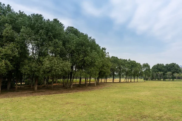 Yeşil şehir parkının güzel manzarası