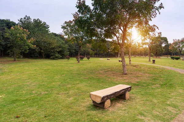 Bellissimo Panorama Del Parco Verde Della Città — Foto Stock