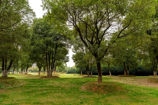 Gyönyörű Panoráma Zöld Város Park — Stock Fotó