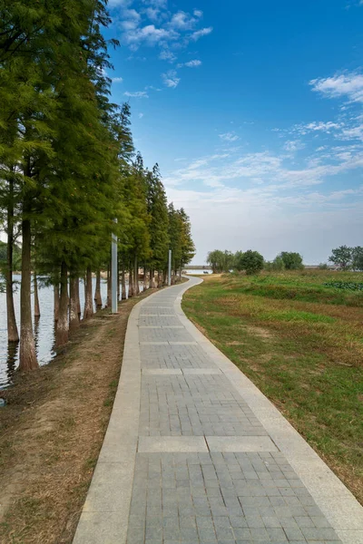 Strada Del Parco Della Città Cina — Foto Stock