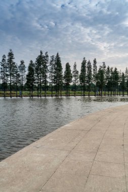 Parktaki göletin çevresi yemyeşil