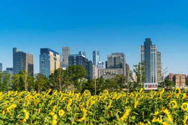 Şangay 'da modern bina geçmişi olan şehir parkı.