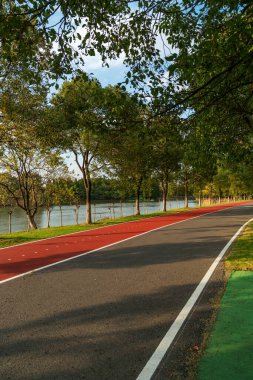 Yeni patika ve güzel ağaçlar parkta koşmak, yürümek ve bisiklete binmek için iz sürüyor. 