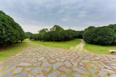 Bahar Parkı ve modern şehir