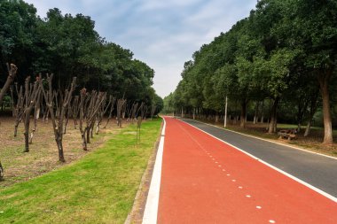 Çin 'deki Şehir Parkı yolu.