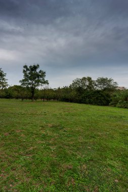 Yeşil şehir parkının güzel manzarası