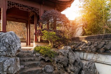 Güney Changjiang Deltası 'nın bahçesi.