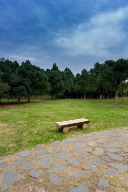 Yeşil şehir parkının güzel manzarası