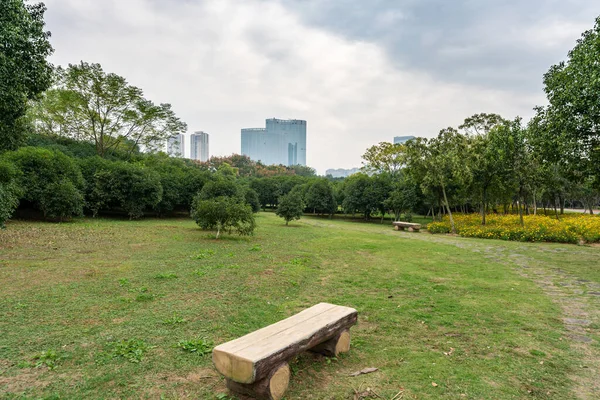 緑の都市公園の美しいパノラマ — ストック写真