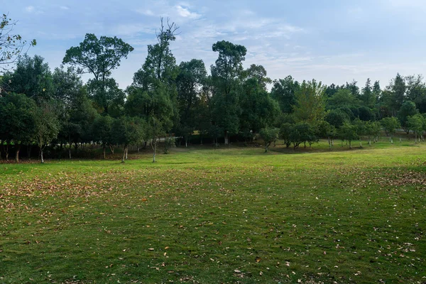 Prachtig Panorama Van Groen Stadspark — Stockfoto