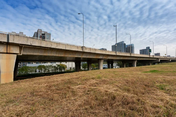 Gras Onder Het Viaduct Snelweg Viaduct Kruising Met Groen Gras — Stockfoto