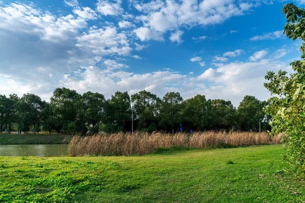Bellissimo Panorama Del Parco Verde Della Città — Foto Stock