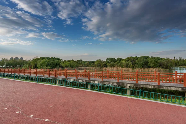 Calle Vacía Bonito Cómodo Gran Jardín Bajo Hermoso Cielo Azul — Foto de Stock