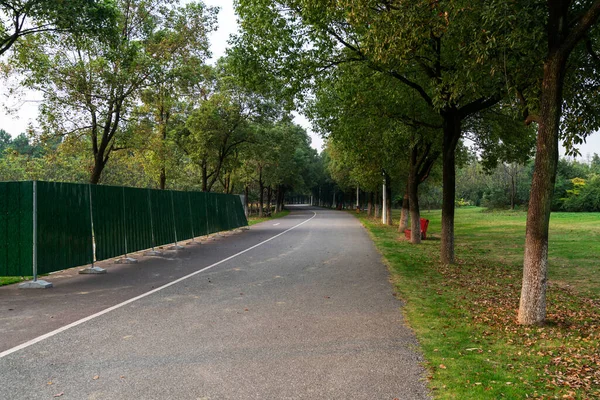 Nouveau Sentier Belle Piste Arbres Pour Course Marche Vélo Détendre — Photo