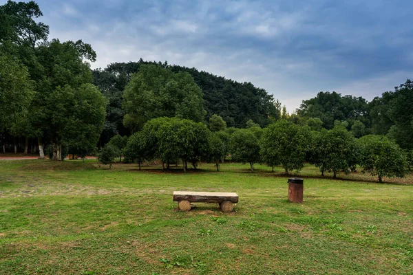 Gyönyörű Panoráma Zöld Város Park — Stock Fotó