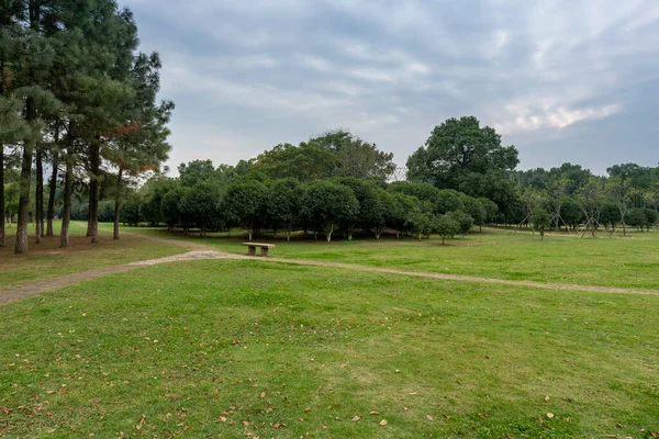 Hermoso Panorama Del Parque Verde Ciudad — Foto de Stock