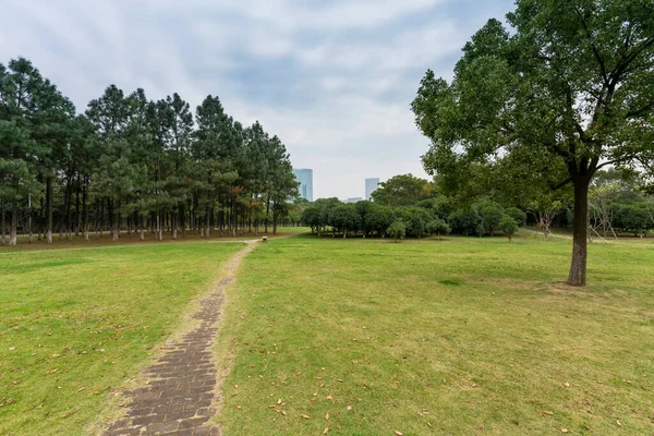 Yeşil Şehir Parkının Güzel Manzarası — Stok fotoğraf