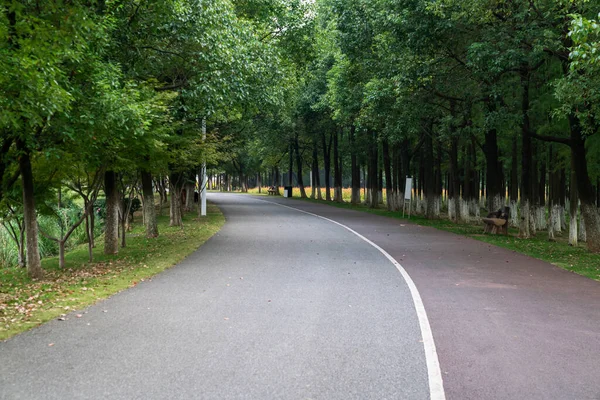 Novo Caminho Belas Árvores Trilha Para Correr Caminhar Andar Bicicleta — Fotografia de Stock