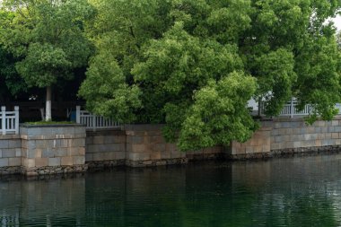 Parktaki göletin çevresi yemyeşil