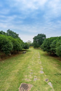 Güzel ve rahat bir bahçede, boş bir sokak. Güzel mavi gökyüzünün altında.