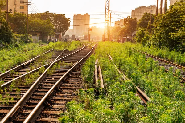 Plataforma Trem Carga Pôr Sol Com Contêiner — Fotografia de Stock