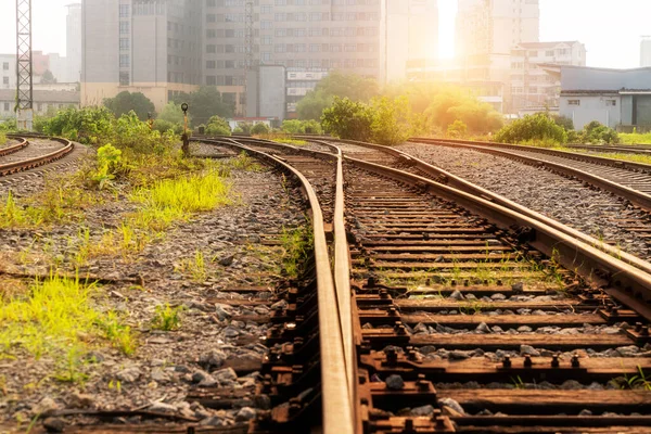 Gün Batımında Konteynırla Birlikte Kargo Treni Platformu — Stok fotoğraf