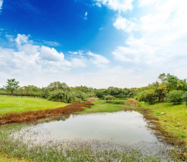 Parktaki göletin çevresi yemyeşil