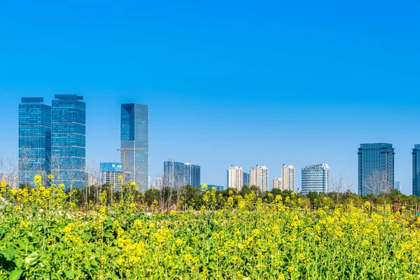 Flower Field Park City Center Modern City — Stock Photo, Image