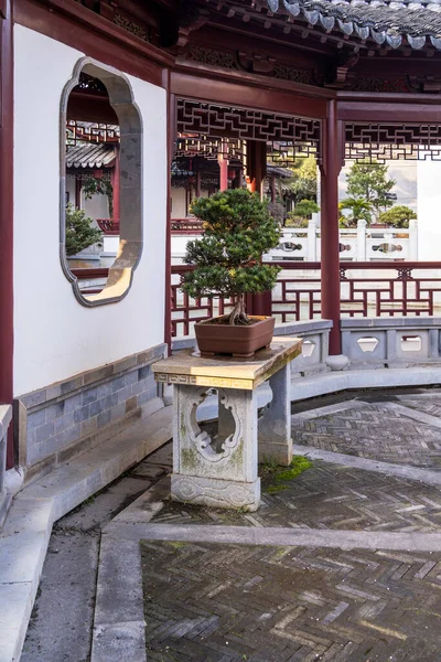 Originale Traditionelle Chinesische Kunst Penjing Oder Penzai Lebendige Miniaturlandschaft Bonsai — Stockfoto