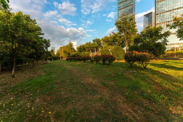 Parque Mola Cidade Moderna China — Fotografia de Stock