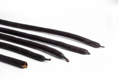 Cassia fistula Amaltas fasulyesi beyaz arka grond izole