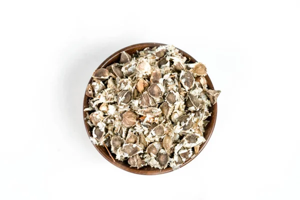 Semena Moringa Oleifera Izolované Bílém Pozadí — Stock fotografie