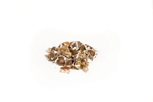 Sementes Moringa Oleifera Isoladas Fundo Branco — Fotografia de Stock