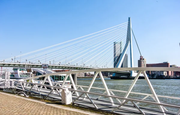 View of Rotterdam (Holland, Europe) — Stock Photo, Image