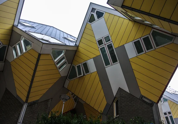 rotterdam Hollanda, Avrupa kutu evleri