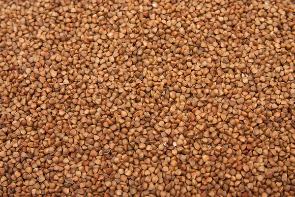 Buckwheat. Texture. Background. — Stock Photo, Image