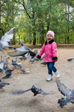 sonbahar parktaki güvercinler ile küçük şirin kız.