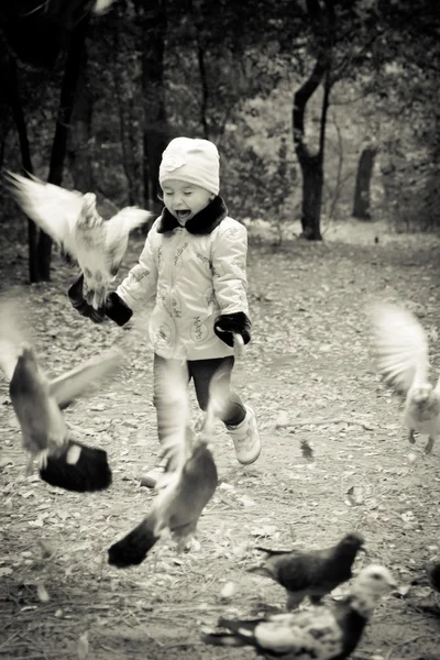 Little cute girl with pigeons in autumn park. — Stock Photo, Image