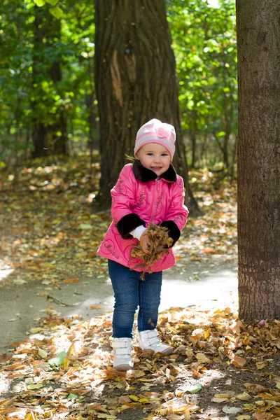 Pequena menina bonito com pombos no parque de outono . — Fotografia de Stock