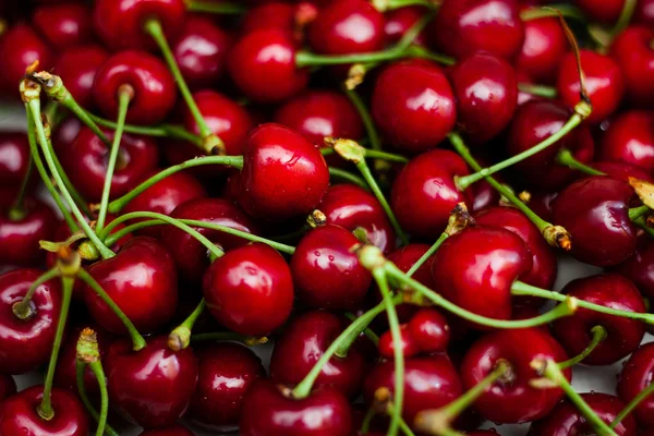 Sweet cherries. — Stock Photo, Image