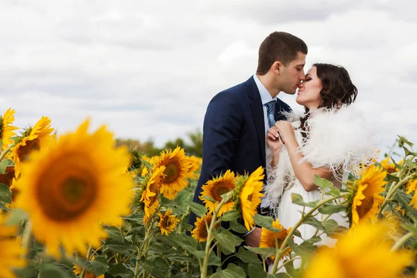 Glückliche Braut und Bräutigam. — Stockfoto